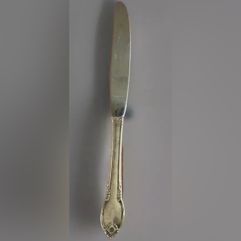 International Silver REMEMBRANCE 1948 Dinner Knife 9-3/8" Stainless Silver